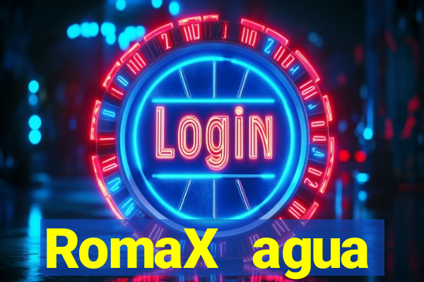 RomaX agua sanitaria fispq agua sanitaria romax